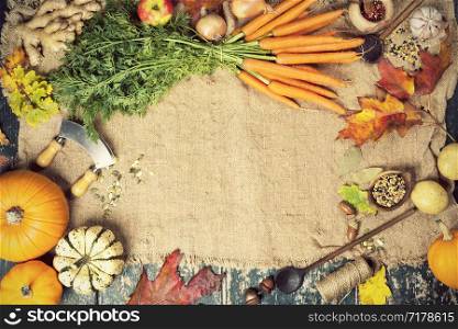 Healthy food cooking background. Vegetable ingredients. Fresh garden carrots, onions, pumpkins, ginger and spices on rustic wooden background, top view, copy space. Healthy food cooking background, space for text