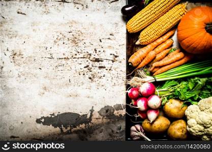 Healthy food. Different raw vegetables . On rustic background. Different raw vegetables .