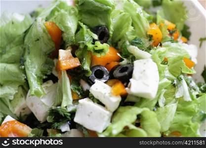 healthy food - salad of the fresh vegetables closeup