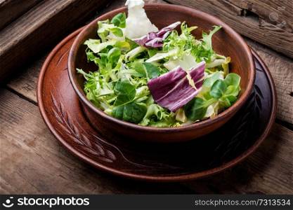 Healthy food.Salad plate with mixed greens.Mixed greens. Fresh vegetable salad