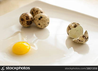 healthy fresh organic quail eggs