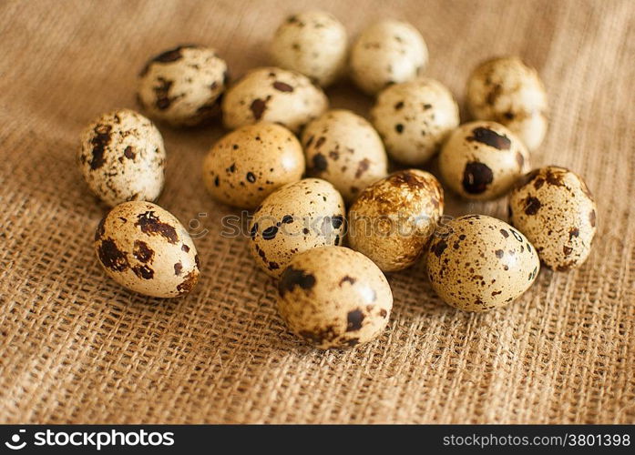 healthy fresh organic quail eggs