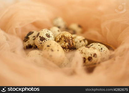 healthy fresh organic quail eggs