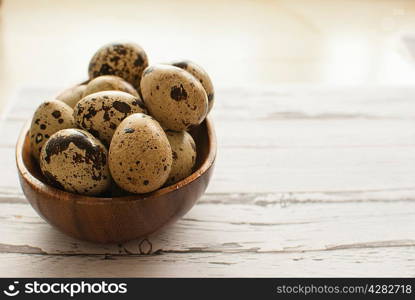 healthy fresh organic quail eggs