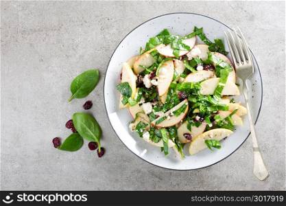 Healthy fruit and berry salad with fresh apples, cranberries, walnuts, italian ricotta cheese and spinach leaves. Delicious and nutritious diet dish for breakfast. Salad bowls on grey stone background. Top view