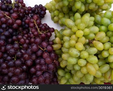 Healthy fruits Red and White wine grapes in the vineyard dark grapes