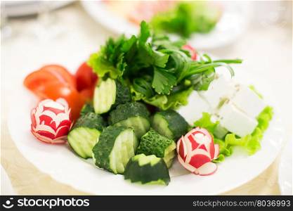 Healthy green salad, tomatoes, parsley, radish, cucumber