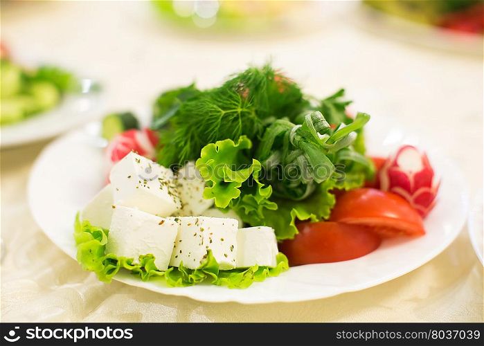 Healthy green salad, tomatoes, parsley, radish, cucumber