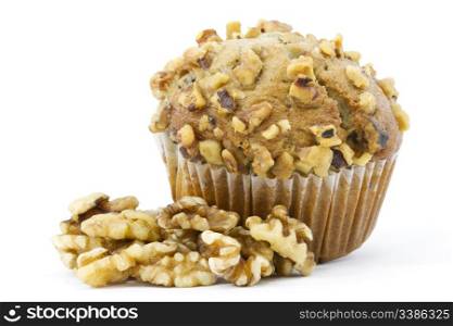 Healthy, homemade muffin with addition of walnuts in and on top is placed with walnut meats in front