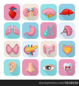 Healthy human body organs flat long shadow icons set isolated vector illustration. Human Organs Set