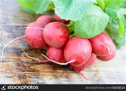 Healthy ingredient of a salad - fresh organic radishes with bunches on a wooden rustic table in close-up