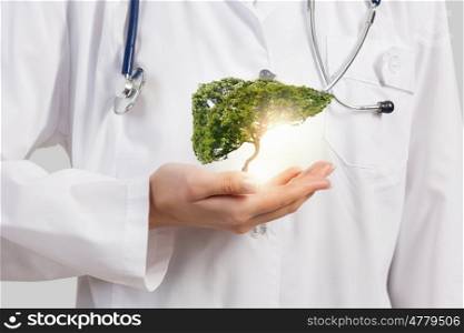 Healthy liver. Close up of female doctor holding green tree in hands