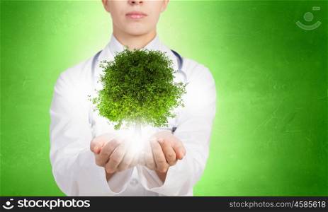 Healthy lungs. Close up of female doctor holding green tree in hands