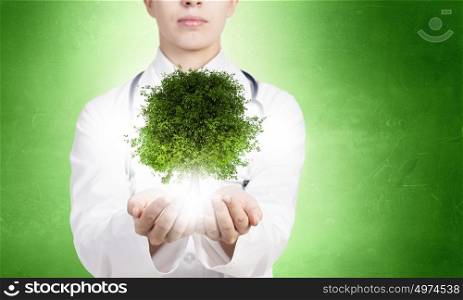 Healthy lungs. Close up of female doctor holding green tree in hands
