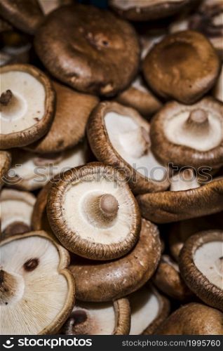 healthy mushrooms organic harvest sales