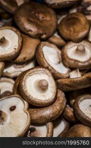 healthy mushrooms organic harvest sales