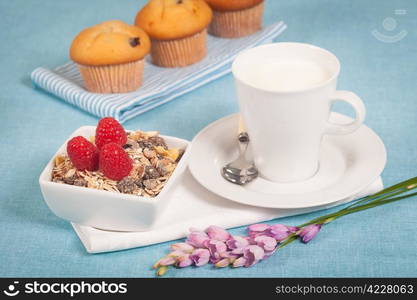 Healthy nutrition with fresh milk and muesli