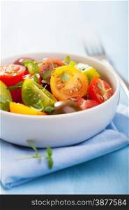 healthy salad with colorful tomatoes