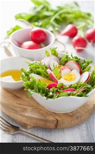 healthy salad with egg radish and green leaves