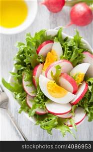 healthy salad with egg radish and green leaves
