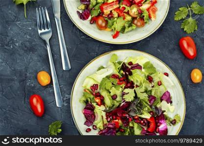 Healthy salad with greens, pepper, radicchio and cucumber, decorated with pomegranate.. Plate with green vegan salad