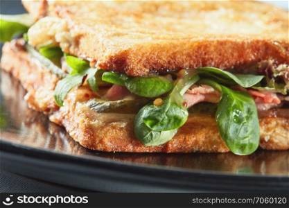Healthy sandwich with bacon, arugula for breakfast. Macro food. Healthy sandwich with bacon