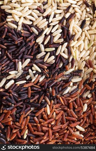 Healthy scattered rice variety: brown, red and wild black