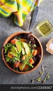 Healthy vegan salad, avocado, cucumber, tomato, radish, nuts and seeds. Girl in denim shirt holding a bowl of vegan salad