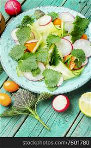 Healthy vegetable salad of nettle on plate.Healthy food concept. Fresh vegetable salad