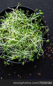 Healthy vegetarian bowl dish with fresh flaxseed sprouts. Plate with raw linseed sprouts salad. Healthy balanced eating. Superfood