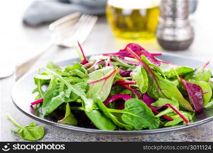 Healthy vegetarian dish, leafy salad with fresh chard, arugula, spinach and lettuce. Italian mix