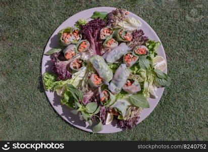 Healthy vietnamese spring rolls with fresh vegetables and lime slices on round ceramic tray on the green lawns. Top view, Selective focus.