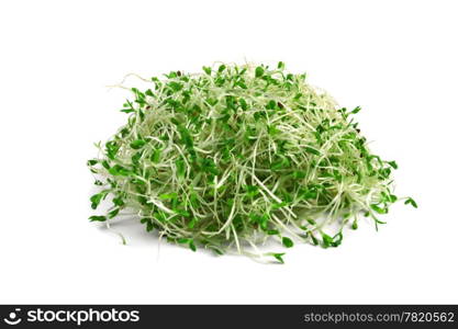 heap of alfalfa sprouts isolated on white