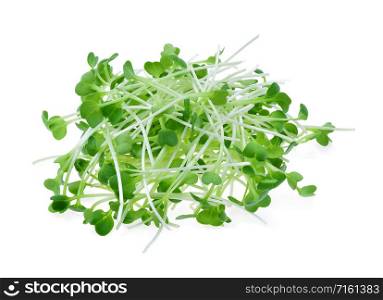 heap of alfalfa sprouts isolated on white background