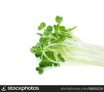 heap of alfalfa sprouts on white background