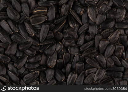 Heap of black sunflower seeds as a background