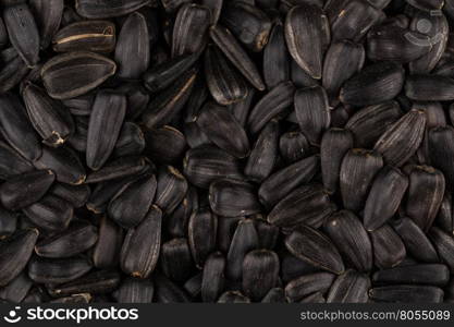 Heap of black sunflower seeds as a background