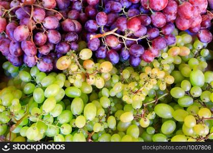 Heap of blue and white bunches of grapes for sale at market