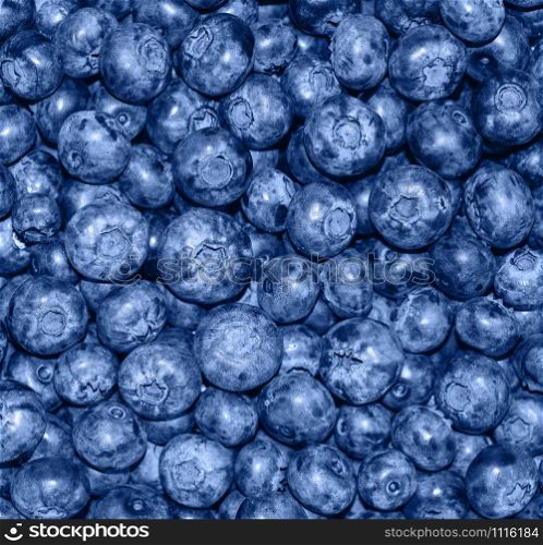 Heap of blueberry close up background. Summer berries. Fresh blueberry long poster panoramic background. Trendy banner toned in classic blue - color of the 2020 year. Heap of blueberry close up background. Summer berries. Fresh blueberry long poster panoramic background.