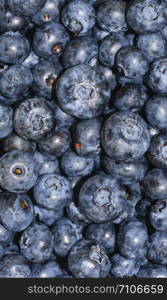 Heap of blueberry close up background. Summer berries. Fresh blueberry long poster panoramic background.. Heap of blueberry close up backgraund. Summer berries.