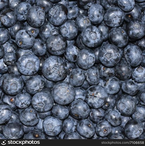 Heap of blueberry close up background. Summer berries. Fresh blueberry square background.. Heap of blueberry close up backgraund. Summer berries.