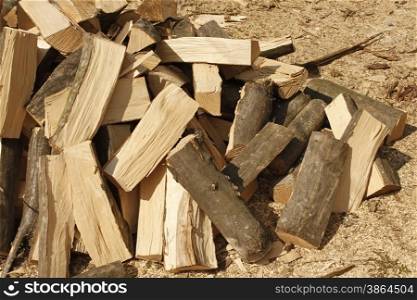 Heap of chopped hornbeam firewood over sawdust in bright sunlight