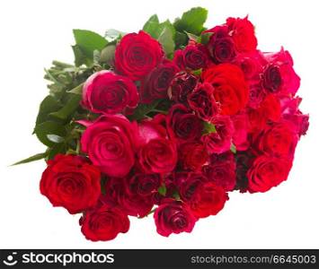 Heap of dark pink  roses  isolated on white background. Border of red and pink roses 