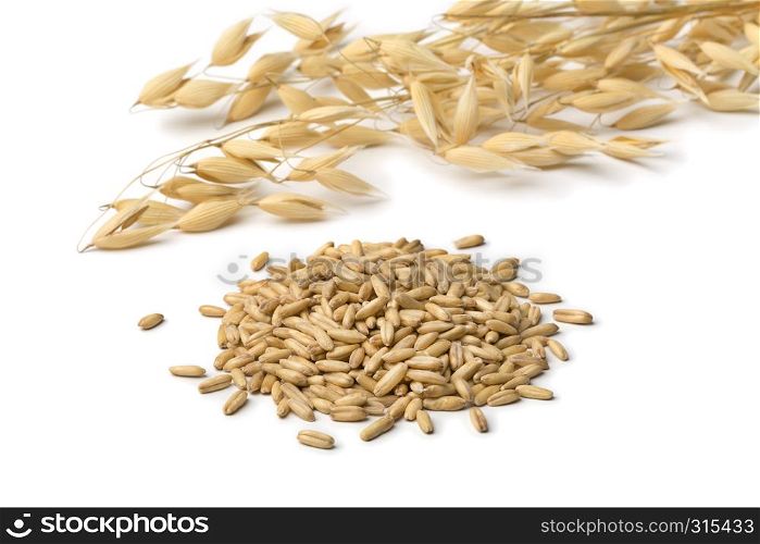 Heap of dried organic oat seeds close up and ears isolated on white background