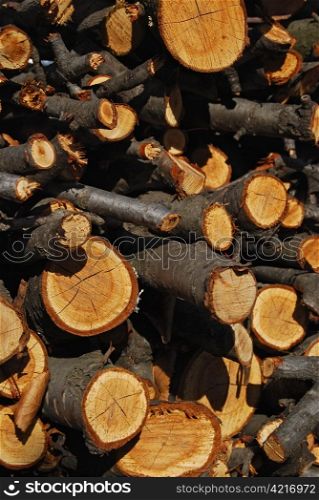 Heap of dry cherry branch firewood close-up