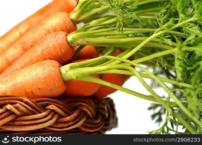 heap of fresh carrots with leaves in basket