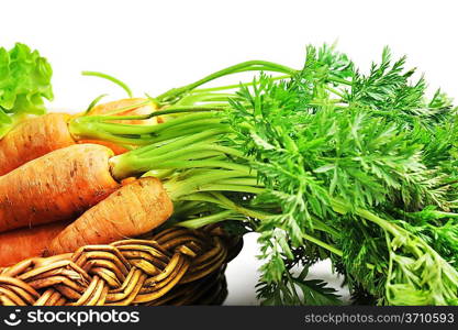 heap of fresh carrots with leaves in basket