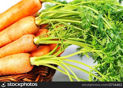 heap of fresh carrots with leaves in basket