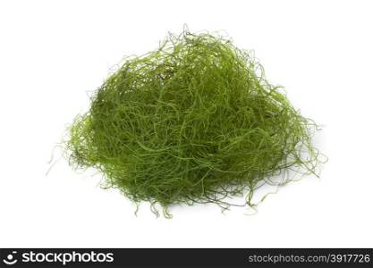 Heap of fresh filamentous green algaeas