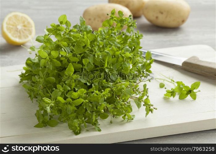Heap of fresh green chickweed on a cutting board